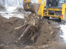 корчевание пней6